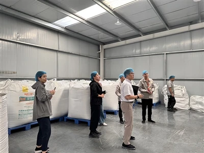 Customers Visit Production Lines And Workshops