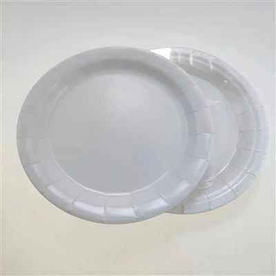 10 Inch Disposable Plate
